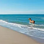 Margarita 3 Bedroom With Private Pool And Sea View 빌라